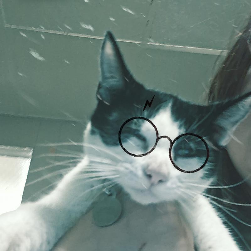 Listing photo 3 of 4