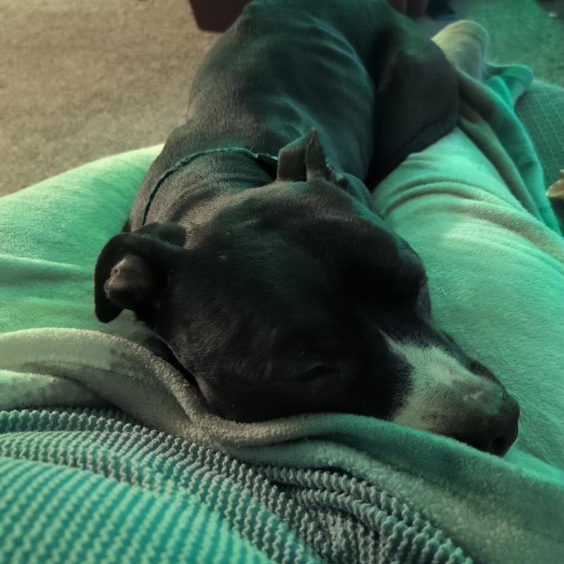 Listing photo 2 of 2