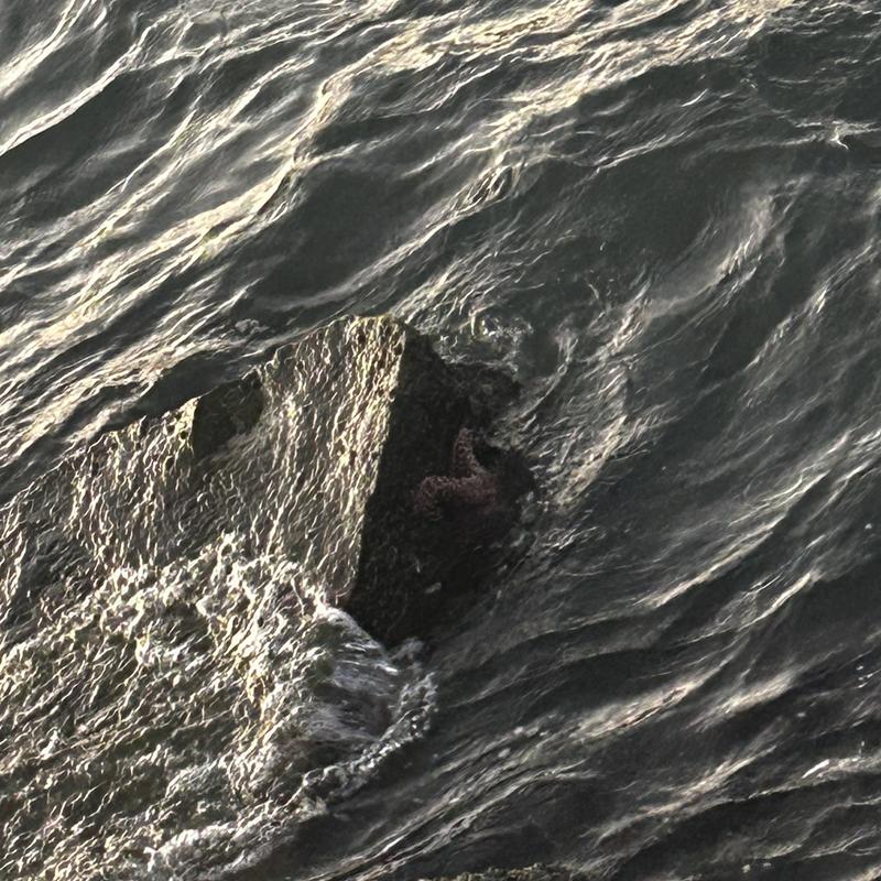 Listing photo 3 of 5