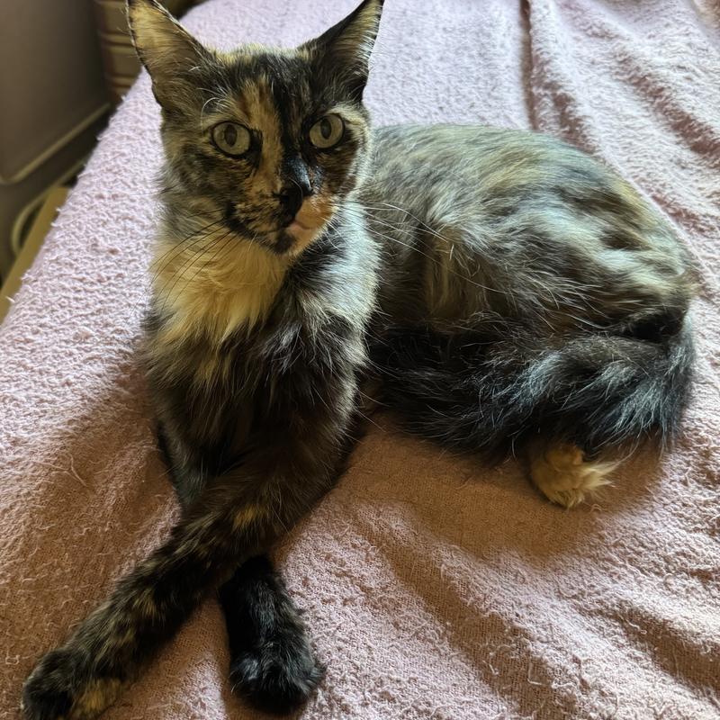 Listing photo 2 of 4