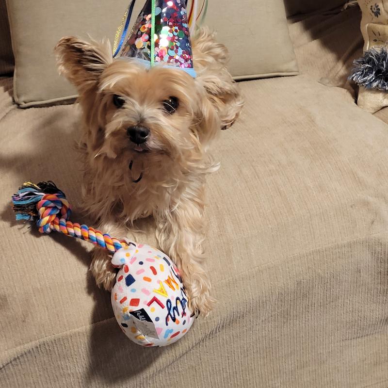 Listing photo 2 of 4