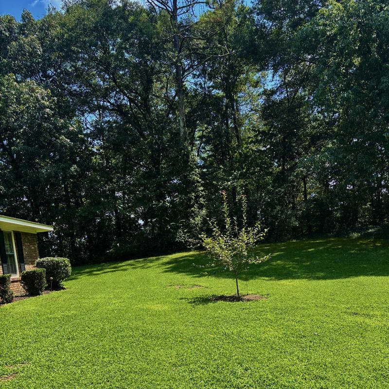 Listing photo 10 of 11