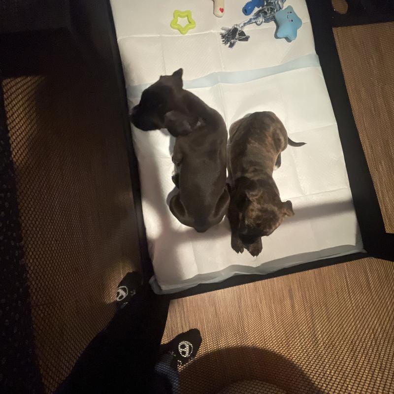 Listing photo 2 of 3