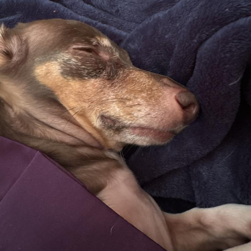 Listing photo 2 of 3