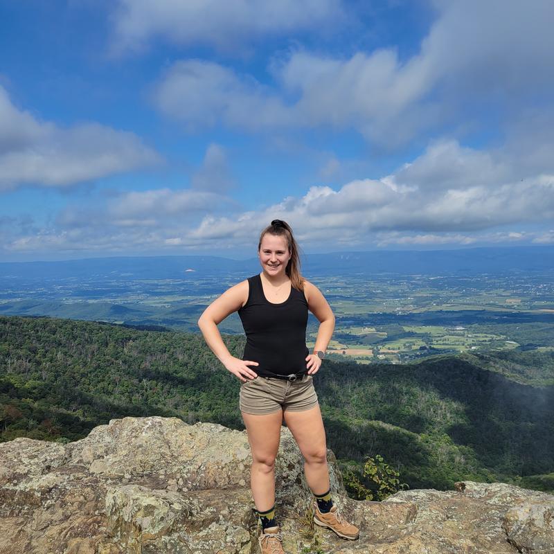 Listing photo 2 of 3