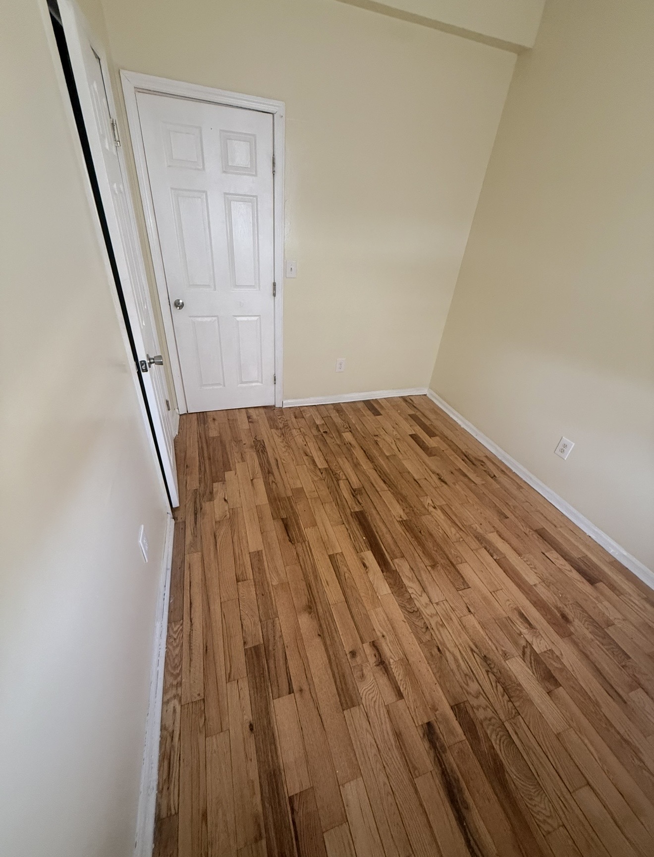 Listing image for Zayden  Z