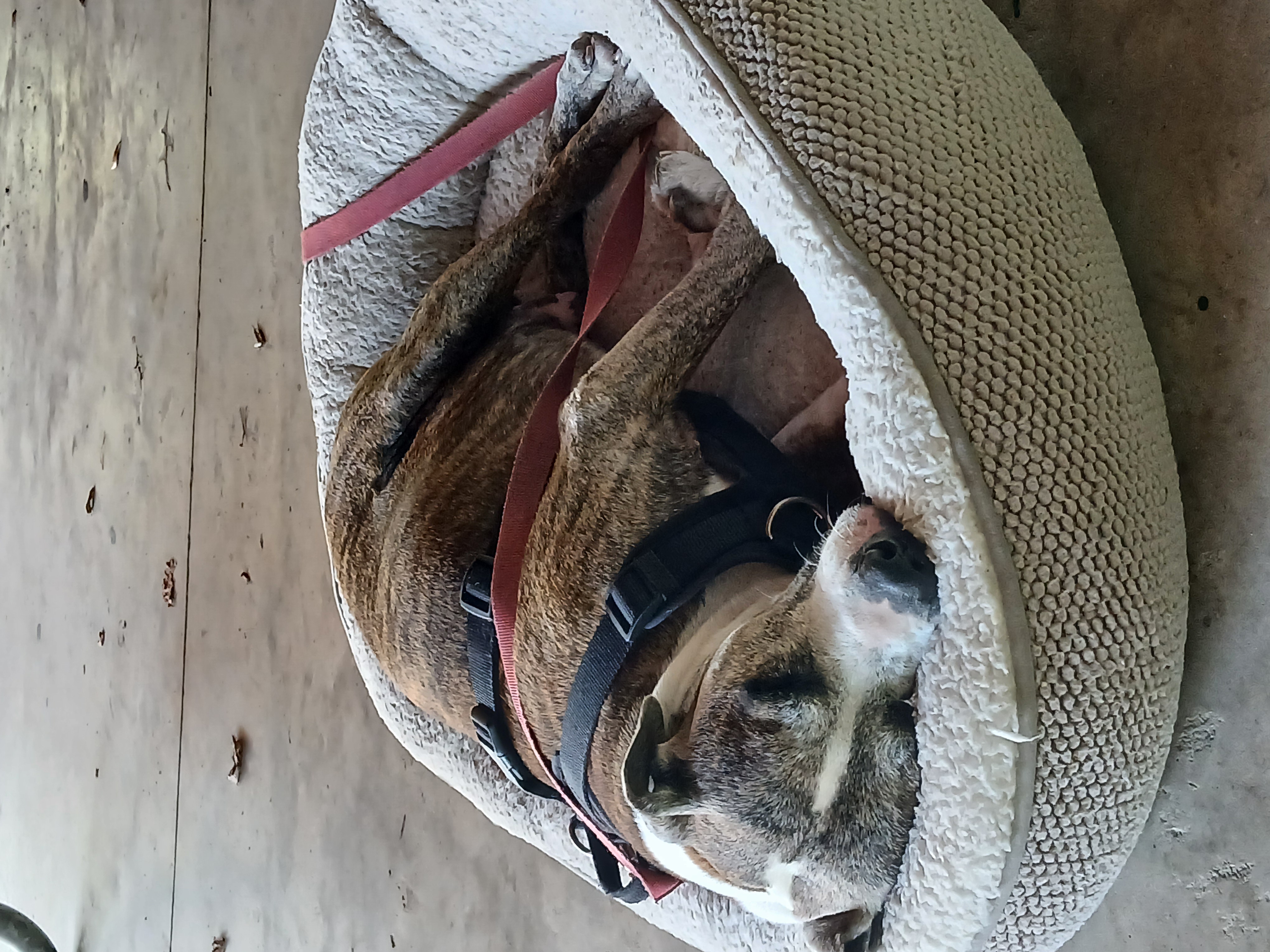 Profile image for Jason M