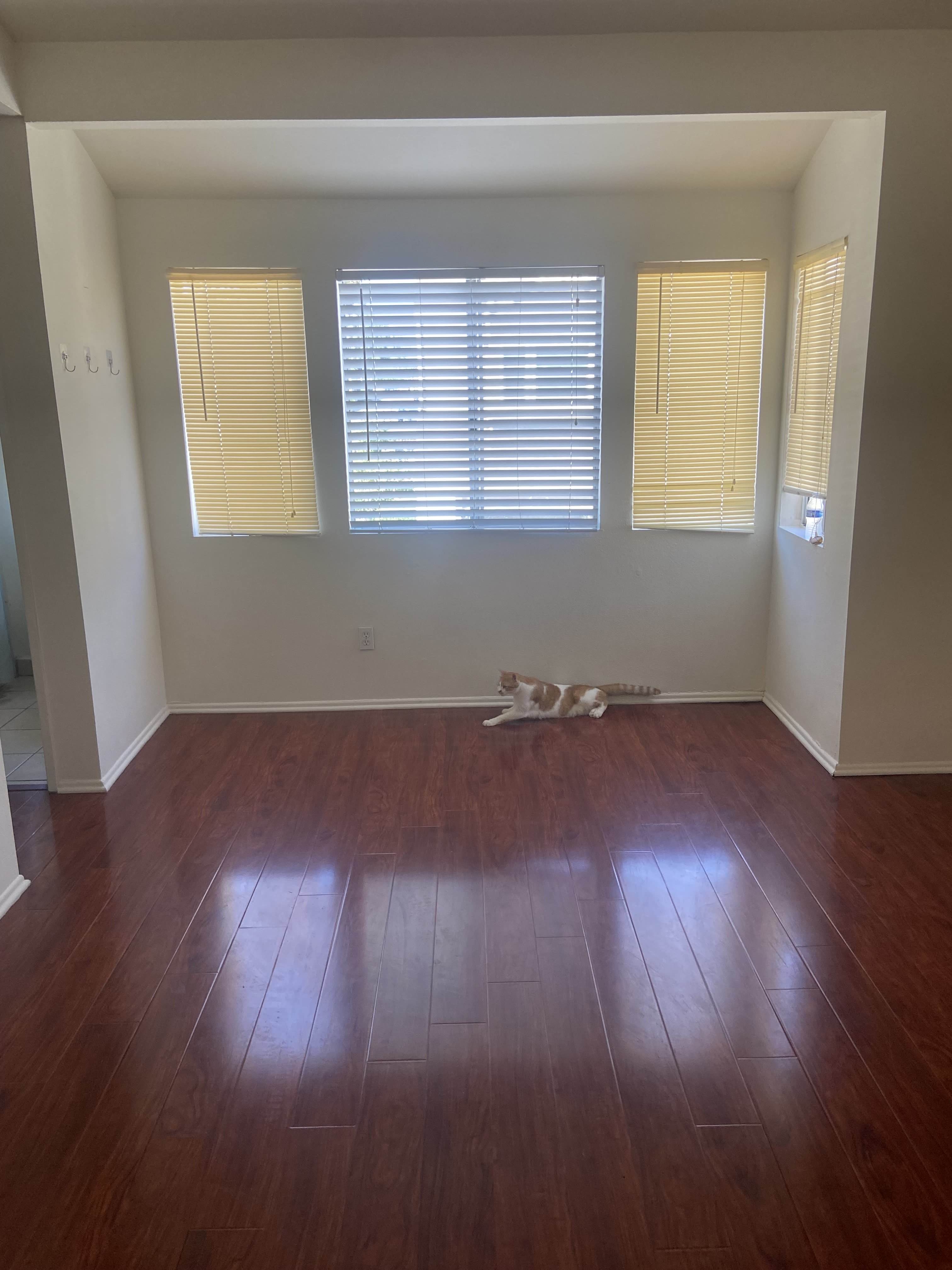 Listing image for Sophie Z