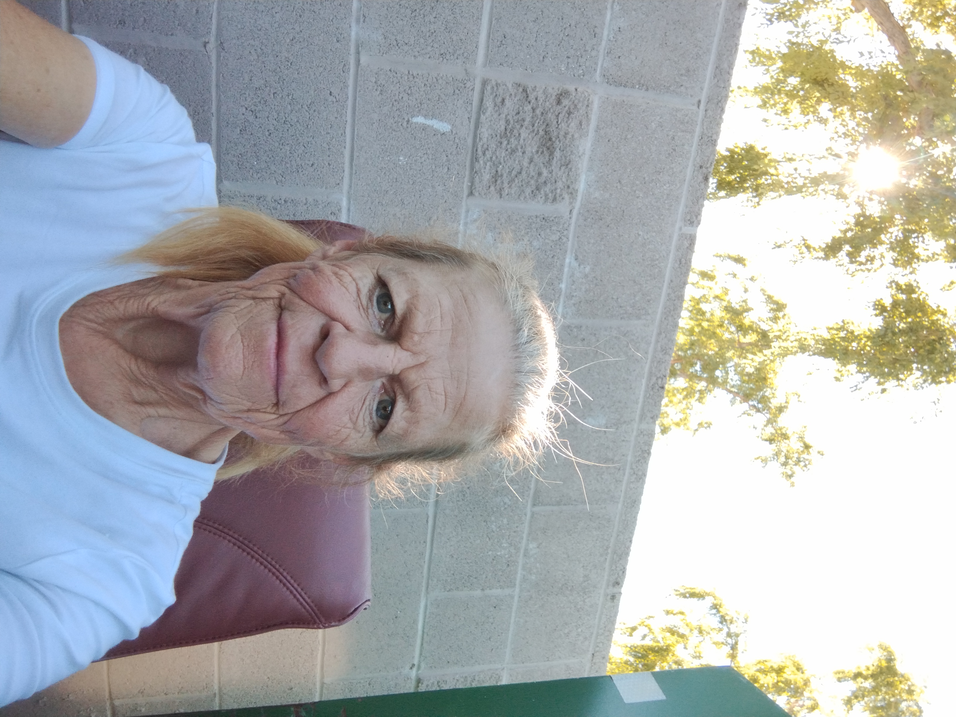 Profile image for Terri D