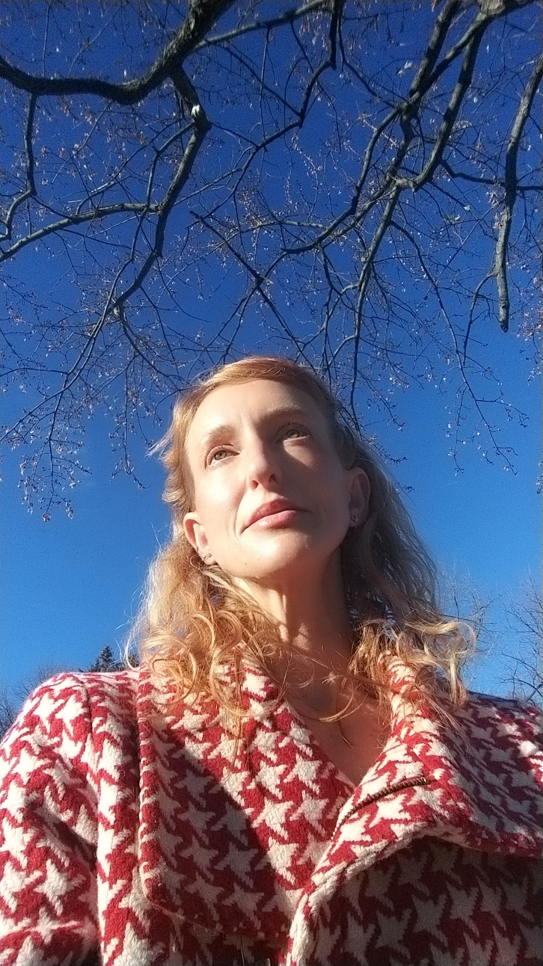 Profile image for Caren C